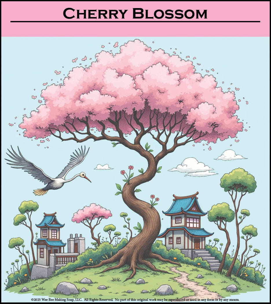 Cherry Blossom